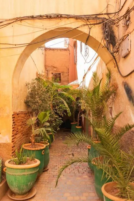 Riad Moulaty 205M2 In Der Medina Mit Terrasse Marrakesh Villa